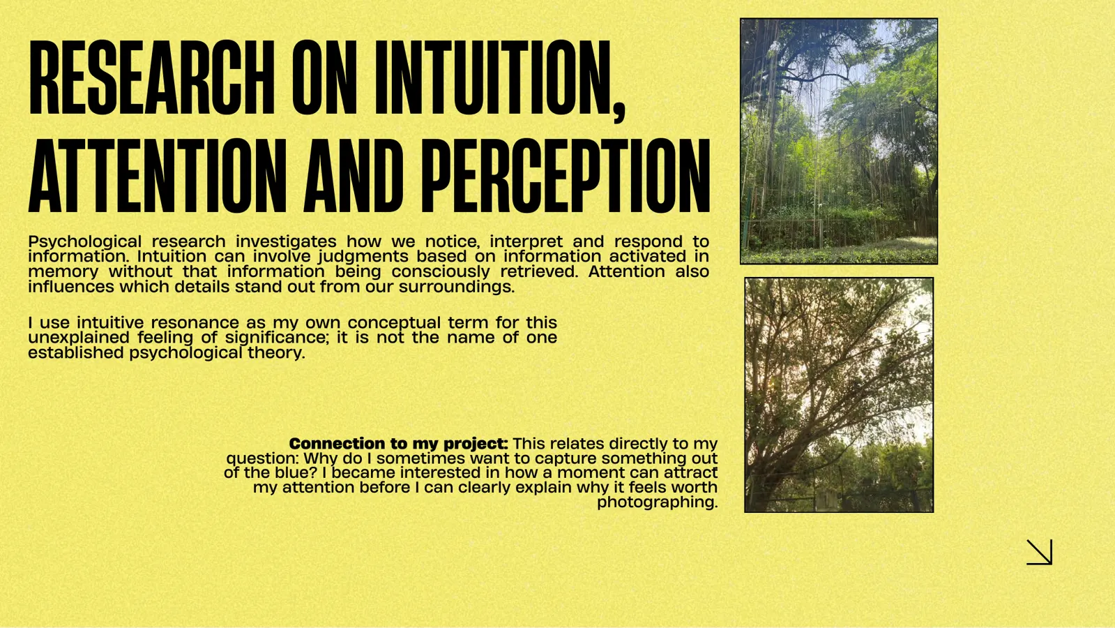 Slide 17 of 31: Research on intuition, attention and perception.